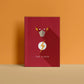 The Flash Notebook